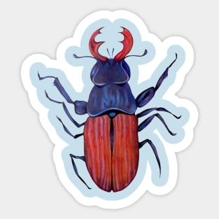 tag-beetle Sticker